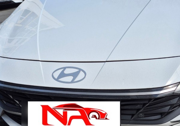 카드 연체 장기렌트카 아반떼 출고! 출퇴근 해결됐네요하양ㅎ