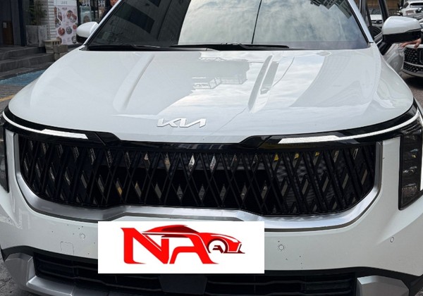 카니발 무심사 장기렌트 너무 감사합니다TT